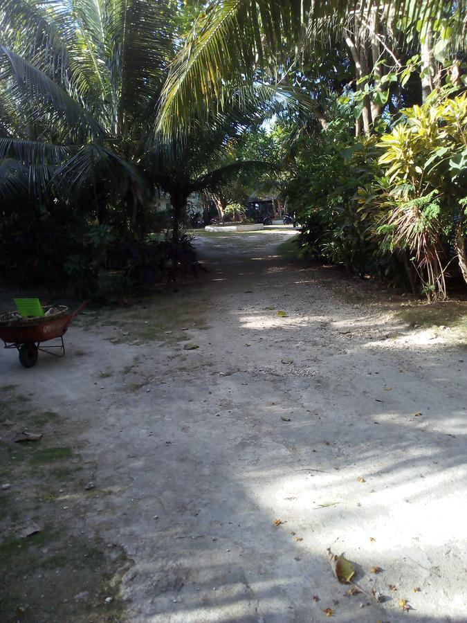 John Lhea Beach Cottages ซีคีฮอร์ ภายนอก รูปภาพ