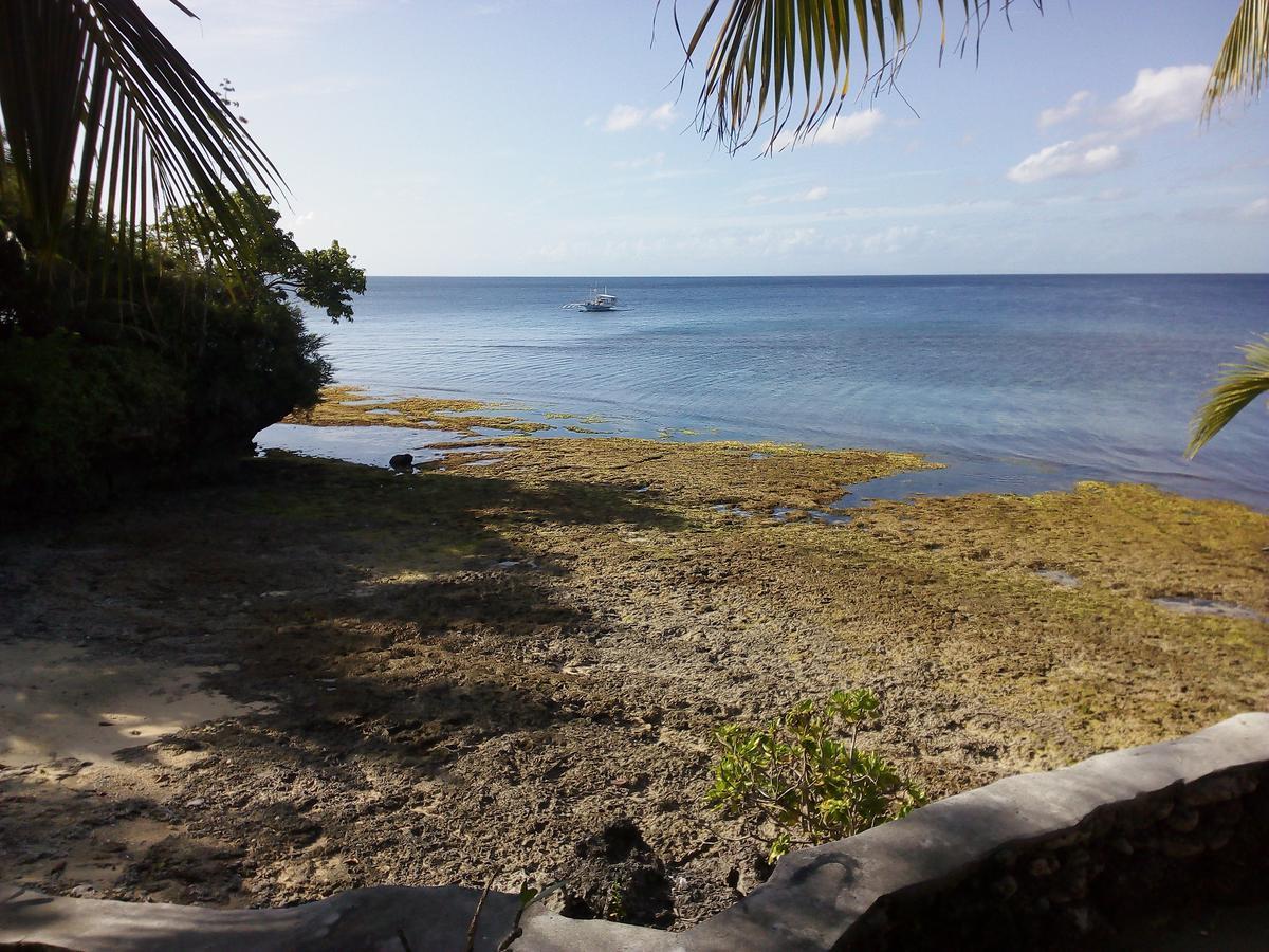 John Lhea Beach Cottages ซีคีฮอร์ ภายนอก รูปภาพ
