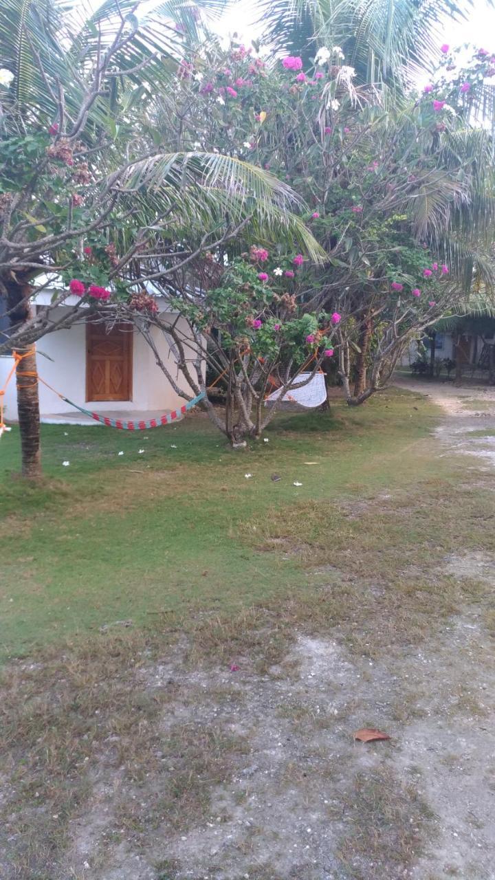 John Lhea Beach Cottages ซีคีฮอร์ ภายนอก รูปภาพ